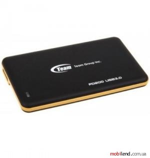 TEAM PD200 T8F2D2128GMC102