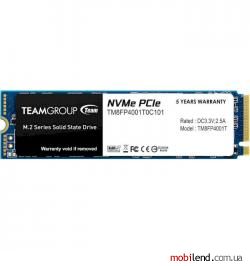 TEAM MP34 1 TB (TM8FP4001T0C101)