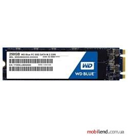Western Digital BLUE PC SSD 250 GB (WDS250G1B0B)