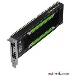 PNY NVIDIA TESLA P4 (TCSP4M-PB)