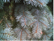 Gigabyte g-Smart i128