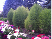 Gigabyte g-Smart i128