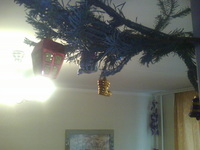 ����� ������������� RoverPC G5