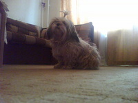 ����� ������������� RoverPC G5