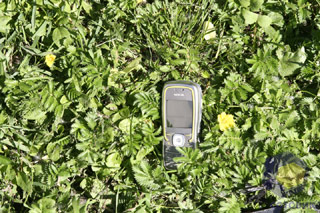 ���������� Nokia 5500