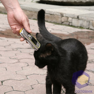 ����� Nokia 5500