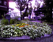 ������� ������ ������ Samsung D720