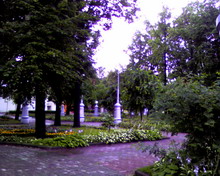 ������� ������ ������ Samsung D720