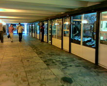 ������� ������ ������ Samsung D730