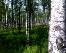 �������� ����������� Samsung D730