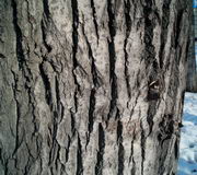 ���������� � ������ Nokia N93i