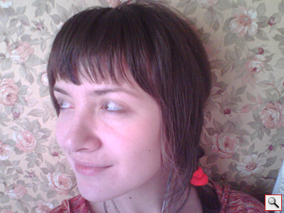 Voxtel W520: ������ ���� 1600 x 1200