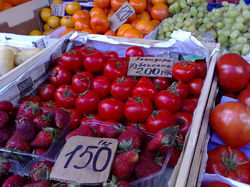 ���������� � ������ Nokia N95