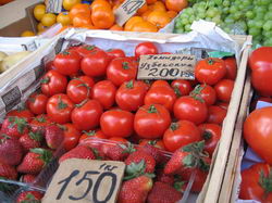 ���������� � ������ Nokia N95