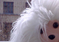 ������ Nokia N95