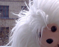 ������ Nokia N95