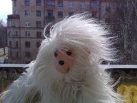 ������ Nokia N95