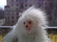 ������ Nokia N95