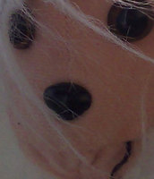 ������ Nokia N95