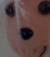 ������ Nokia N95