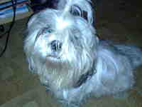 ������ Nokia N95