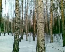 ������ ������ ����������� Nokia E65-2