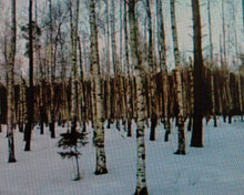 ������ ������ ����������� Samsung i520-2