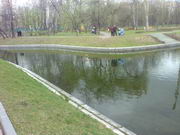 ���������� � ������ Nokia E90