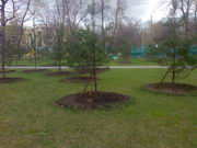 ���������� � ������ Nokia E90