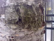 ���������� � ������ Nokia E90