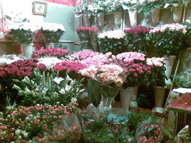 ������� ���� � ������ Nokia E61i 21