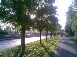 ������� ���������� Nokia 6110 Navigator � ������������ ���������� �������� 3