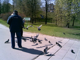 ������� ���������� Nokia 6110 Navigator � ������������ ���������� �������� 6