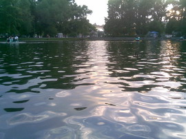 ������� ���������� Nokia 6110 Navigator � ������������ ���������� �������� 8