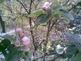 ������� ���������� Nokia 6110 Navigator � ������������ ���������� �������� 22