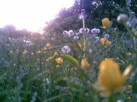 ������� ���������� Nokia 5700 � ������������ ���������� �������� 7