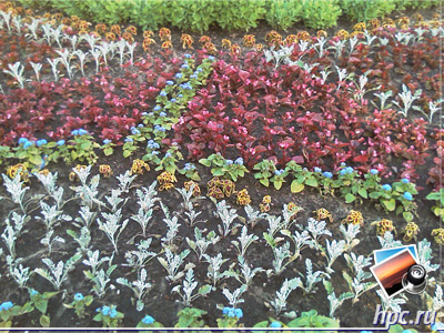 HTC Touch: ������ ���� (jpg, 1600x1200, 814,0 ��)