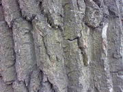 ���������� � ������ Nokia E90