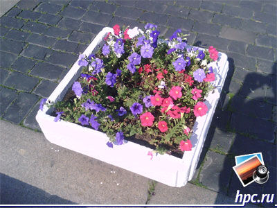 RoverPC G6: ������ ���� (jpg, 1600x1200, 1,1��)