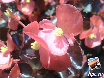 RoverPC G6: ������ ���� � ������ ����� (jpg, 1600x1200, 869,3��)