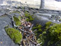 ���������� � ������ SonyEricsson K850i