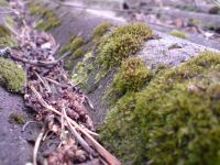 ���������� � ������ SonyEricsson K850i