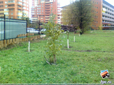 glofiish X800: ������ ���� (jpg, 1600x1200, 647,6 ��)