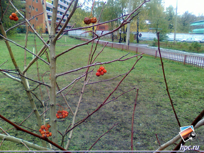 glofiish X800: ������ ���� (jpg, 1600x1200, 712,7 ��)