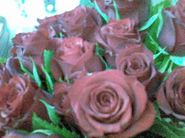 ������� ���������� Nokia 8600 Luna 2