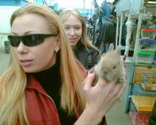 ���� ��������� ������� Nokia 6230i