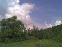 ������ ������ ������ Nokia 8800