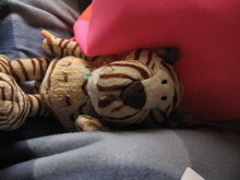 Nokia 6288: ������� ������� �� ���������� ���������� 6