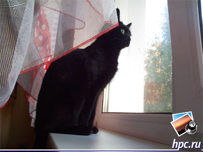 ASUS P526: ������ ���� (jpg, 1600x1200, 214.6��)