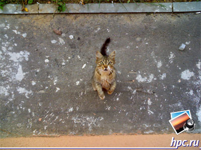 ASUS P526: ������ ���� (jpg, 1600x1200, 421.1��)